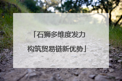 石狮多维度发力 构筑贸易链新优势