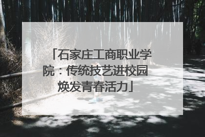 石家庄工商职业学院：传统技艺进校园焕发青春活力