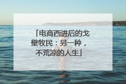 电商西进后的戈壁牧民：另一种，不荒凉的人生