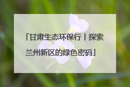 甘肃生态环保行丨探索兰州新区的绿色密码