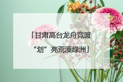 甘肃高台龙舟竞渡“划”亮荒漠绿洲