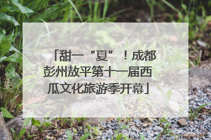 甜一“夏”！成都彭州敖平第十一届西瓜文化旅游季开幕