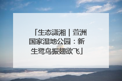 生态潇湘｜萱洲国家湿地公园：新生鹭鸟振翅欲飞