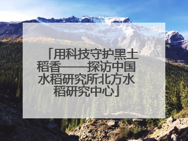 用科技守护黑土稻香——探访中国水稻研究所北方水稻研究中心