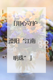 用心守护溧阳“江南明珠”