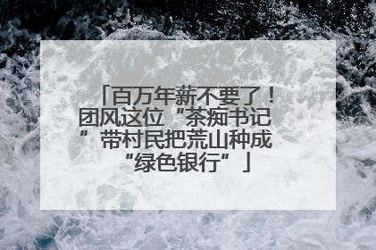 百万年薪不要了！团风这位“茶痴书记”带村民把荒山种成“绿色银行”