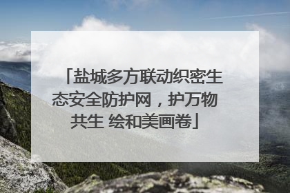 盐城多方联动织密生态安全防护网，护万物共生 绘和美画卷