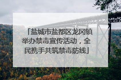 盐城市盐都区龙冈镇举办禁毒宣传活动，全民携手共筑禁毒防线