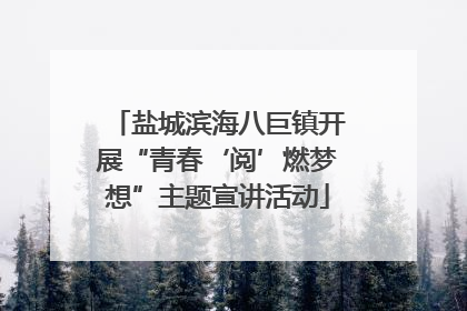 盐城滨海八巨镇开展“青春‘阅’燃梦想”主题宣讲活动