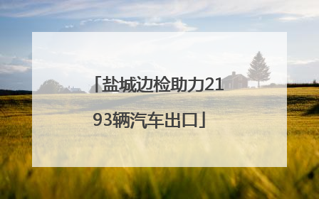 盐城边检助力2193辆汽车出口
