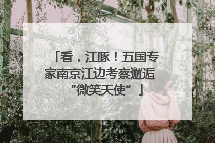 看，江豚！五国专家南京江边考察邂逅“微笑天使”