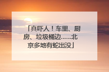 真吓人！车里、厨房、垃圾桶边……北京多地有蛇出没