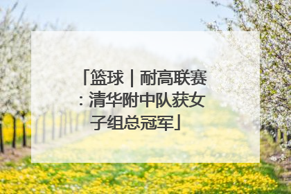 篮球｜耐高联赛：清华附中队获女子组总冠军