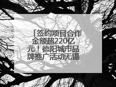 签约项目合作金额超220亿元！德阳城市品牌推广活动无锡站成绩单出炉