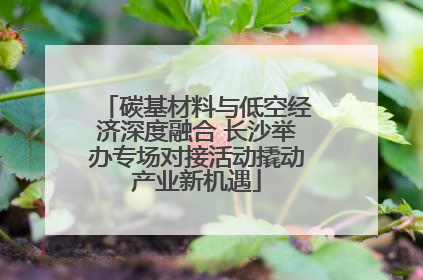 碳基材料与低空经济深度融合 长沙举办专场对接活动撬动产业新机遇