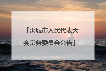 禹城市人民代表大会常务委员会公告
