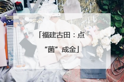 福建古田：点“菌”成金