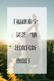 福建泰宁：灵芝“链”出富民新图景