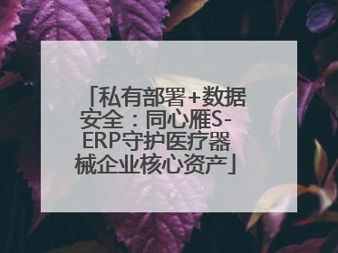私有部署+数据安全：同心雁S-ERP守护医疗器械企业核心资产