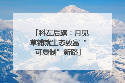 科左后旗：月见草铺就生态致富“可复制”新路