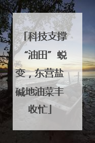 科技支撑“油田”蜕变，东营盐碱地油菜丰收忙