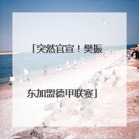 突然官宣!樊振东加盟德甲联赛