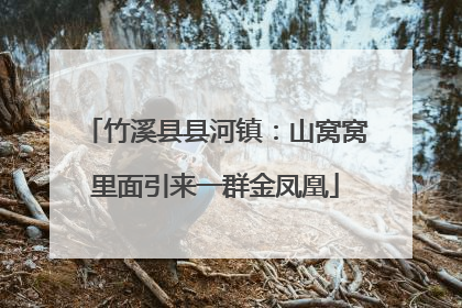 竹溪县县河镇：山窝窝里面引来一群金凤凰