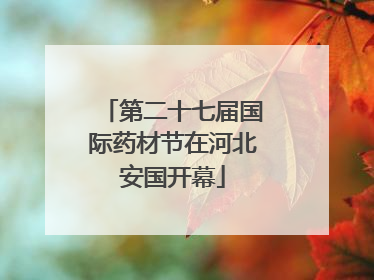 第二十七届国际药材节在河北安国开幕