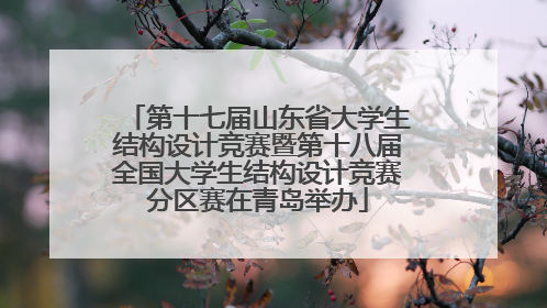 第十七届山东省大学生结构设计竞赛暨第十八届全国大学生结构设计竞赛分区赛在青岛举办