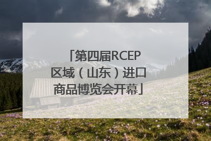第四届RCEP区域（山东）进口商品博览会开幕