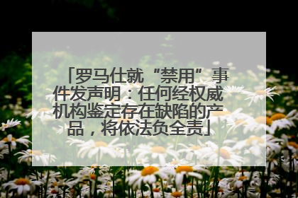 罗马仕就“禁用”事件发声明：任何经权威机构鉴定存在缺陷的产品，将依法负全责