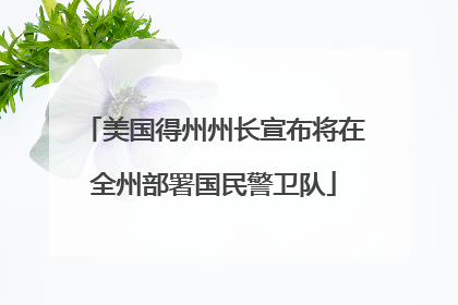 美国得州州长宣布将在全州部署国民警卫队