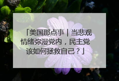 美国那点事｜当悲观情绪弥漫党内，民主党该如何拯救自己？