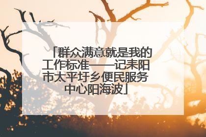 群众满意就是我的工作标准——记耒阳市太平圩乡便民服务中心阳海波