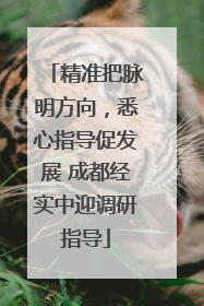精准把脉明方向，悉心指导促发展 成都经实中迎调研指导