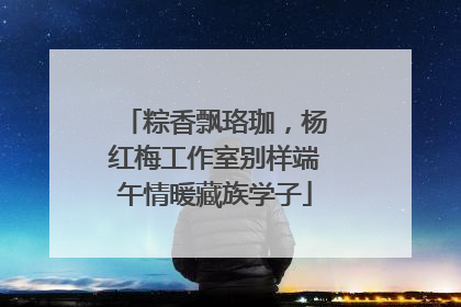 粽香飘珞珈，杨红梅工作室别样端午情暖藏族学子