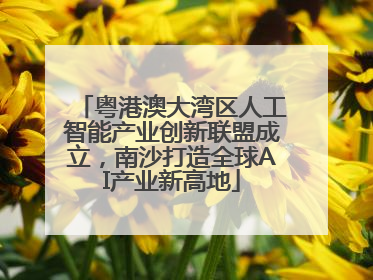 粤港澳大湾区人工智能产业创新联盟成立，南沙打造全球AI产业新高地
