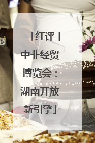 红评丨中非经贸博览会：湖南开放新引擎