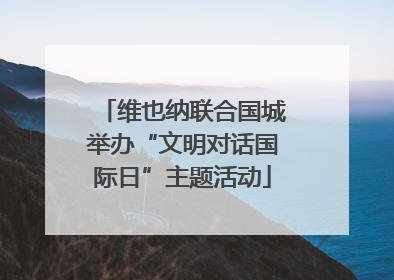 维也纳联合国城举办“文明对话国际日”主题活动
