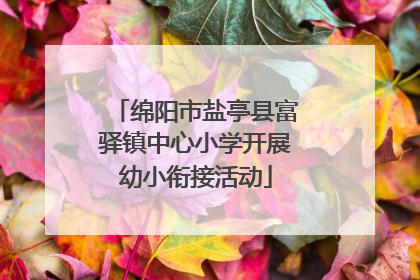 绵阳市盐亭县富驿镇中心小学开展幼小衔接活动