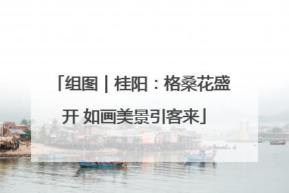 组图｜桂阳：格桑花盛开 如画美景引客来