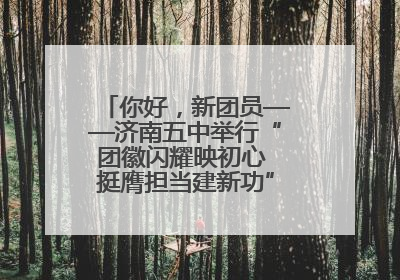 你好，新团员——济南五中举行“团徽闪耀映初心 挺膺担当建新功”主题团日活动