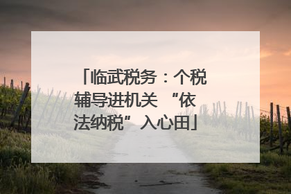 临武税务：个税辅导进机关 “依法纳税”入心田
