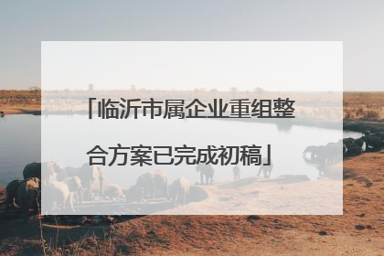 临沂市属企业重组整合方案已完成初稿