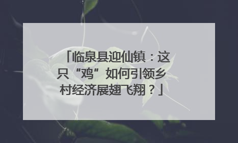 临泉县迎仙镇：这只“鸡”如何引领乡村经济展翅飞翔？