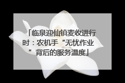 临泉迎仙镇麦收进行时：农机手“无忧作业”背后的服务温度
