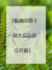 临湘市第十一届大众运动会开幕