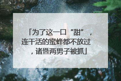 为了这一口“甜”，连干活的蜜蜂都不放过，诸暨两男子被抓