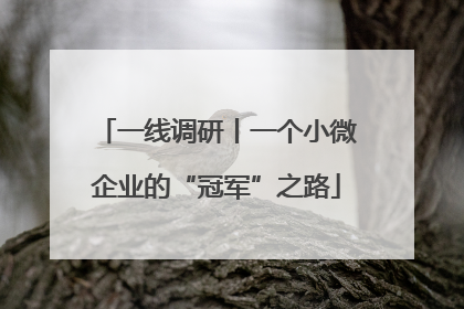 一线调研丨一个小微企业的“冠军”之路