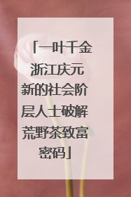 一叶千金 浙江庆元新的社会阶层人士破解荒野茶致富密码